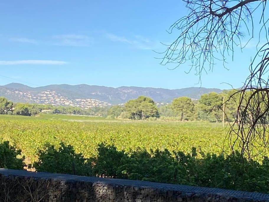 Ravissant T3 En Duplex Proche Mer La Londe-les-Maures Exterior foto
